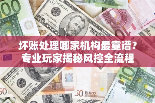 武汉坏账处理哪家机构最靠谱？专业玩家揭秘风控全流程