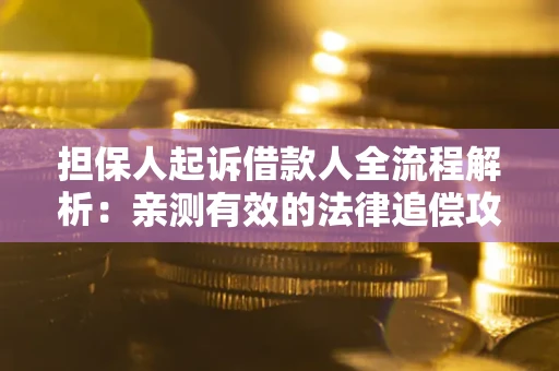 武汉担保人起诉借款人全流程解析：亲测有效的法律追偿攻略