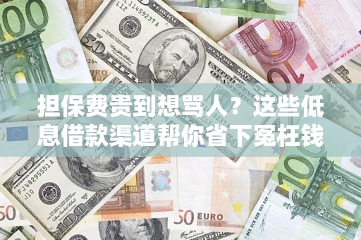 武汉担保费贵到想骂人？这些低息借款渠道帮你省下冤枉钱