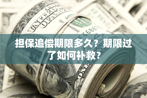 武汉担保追偿期限多久？期限过了如何补救？