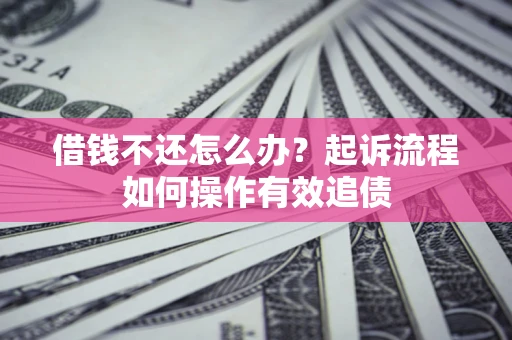 武汉借钱不还怎么办？起诉流程如何操作有效追债