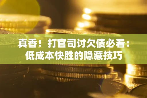 武汉真香！打官司讨欠债必看：低成本快胜的隐藏技巧