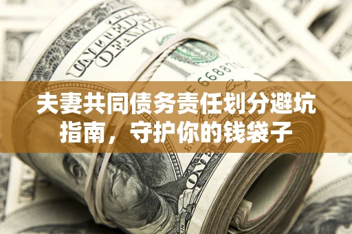 武汉夫妻共同债务责任划分避坑指南，守护你的钱袋子