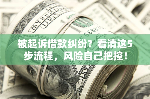 武汉被起诉借款纠纷？看清这5步流程，风险自己把控！