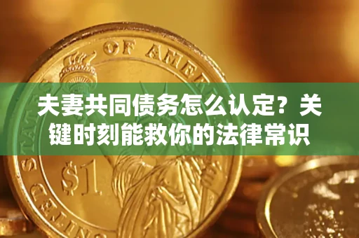 武汉夫妻共同债务怎么认定？关键时刻能救你的法律常识