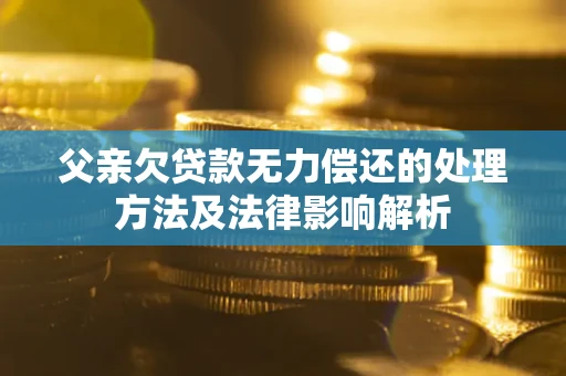 武汉父亲欠贷款无力偿还的处理方法及法律影响解析